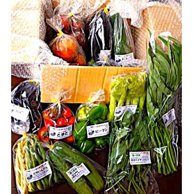 ふるさと納税 原村 【先行受付】季節の変り野菜セット(Mサイズ)