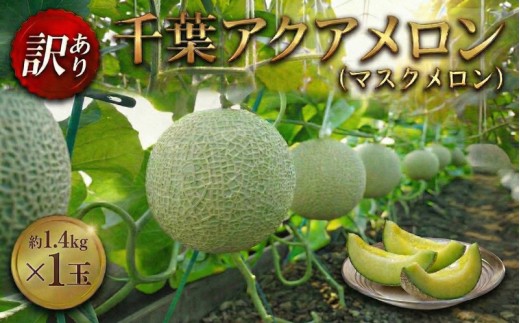 訳あり 千葉 アクアメロン 約1.4kg（ L玉 ） × 1玉 メロン めろん マスクメロン ますくめろん くだもの フルーツ ふるーつ L玉 Lサイズ 大玉 甘い 温室メロン ジューシー 訳あり デザート 高糖度 アールスメロン 戸田メロン 千葉県 東金