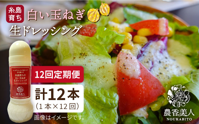 
【全12回定期便】糸島 そだち の 白い玉ねぎ 生ドレッシング ( 285ml × 1本 )《糸島》【農香美人】 [AAG044]
