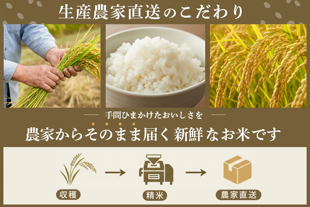 【連続特A受賞米】佐賀県基山町の米・令和7年産 さがびより(精米)10kg〈生産者直送〉【米 ブランド米 特A 冷めても美味い 10kg ふるさと納税】K094002
