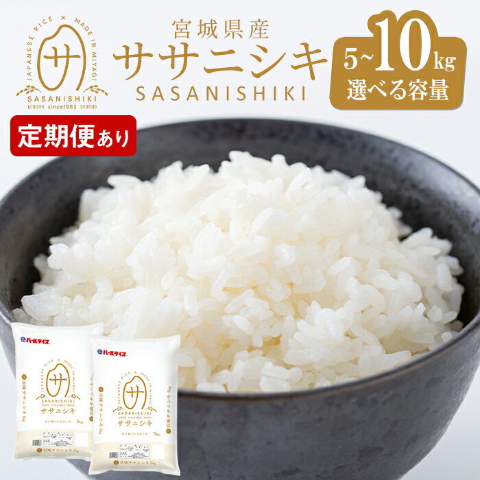 【ふるさと納税】【令和7年産】宮城県産 ササニシキ 5kg〜10kg ＜定期便も可！＞ お米 おこめ 米 コメ 白米 ご飯 ごはん おにぎり お弁当 ささにしき 頒布会【株式会社パールライス宮城】ta204・ta573・ta595・ta596