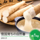 【ふるさと納税】山形県産 自然薯 雪国育ちの自然薯 約1kg 2本入り 送料無料 oz-zixxx1