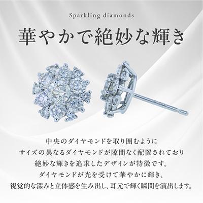 ふるさと納税 泉佐野市 ARC-EN-CIEL PTダイヤピアス 計1.4ct【鑑別書付き】 |  | 01