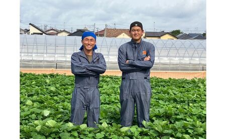 鮮度そのまま!!急速冷凍完熟いちご(紅ほっぺ)1kg×２個セット　ふぁいんファーム