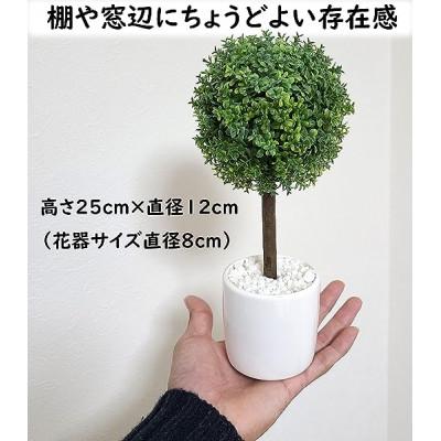 ふるさと納税 芦別市 造花　グリーンボール　光触媒加工済み |  | 01