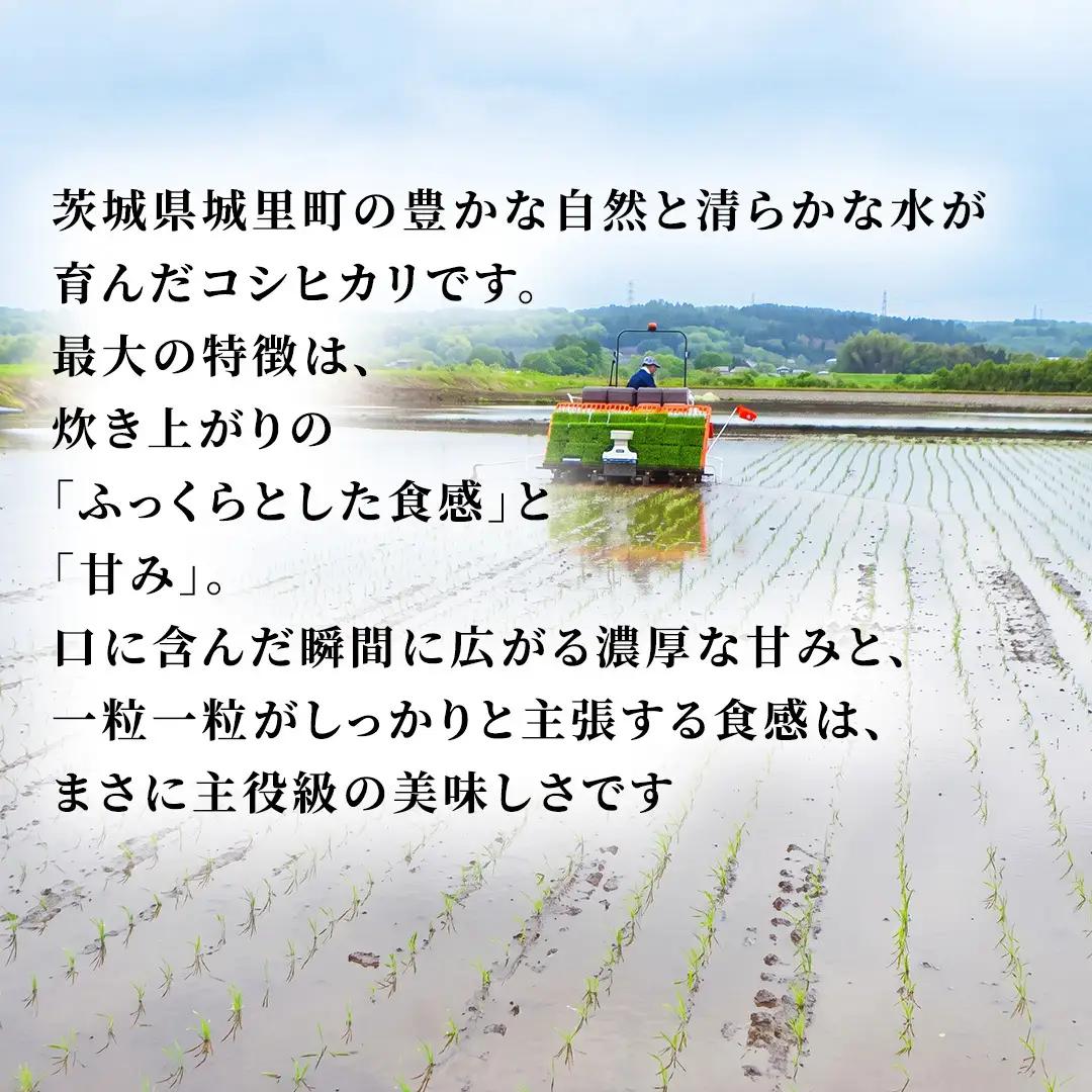 コシヒカリ 精米 5kg 令和7年産 スピード発送 スピード出荷 最短3～7営業日出荷 即納 産地直送 茨城県 城里町 精白米 米 ご飯 こしひかり 米 白米 精米 ( AX012 )