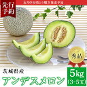 【ふるさと納税】082-1 アンデスメロン 秀品 3~5玉 約5kg 茨城県 JA水戸産