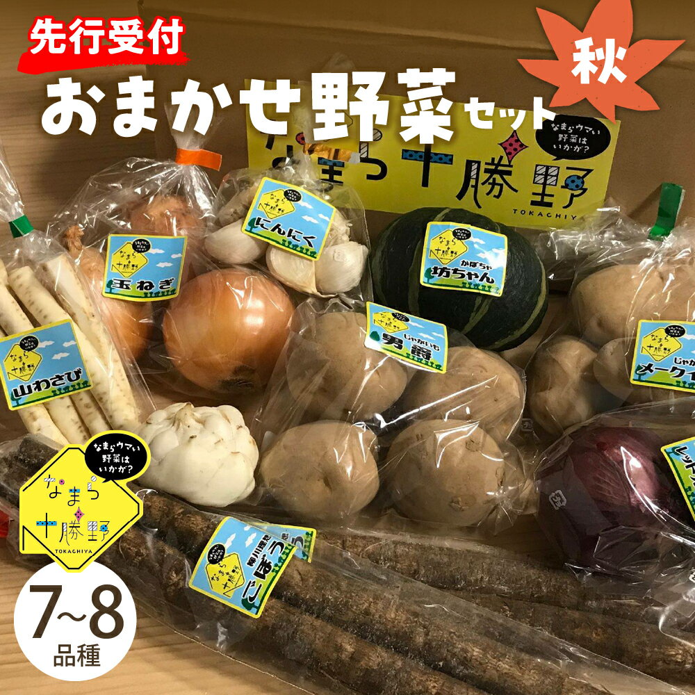 【ふるさと納税】【先行受付】【2025年10月より配送】産地直送 なまら十勝野の 季節のおまかせ 野菜 セット 秋詰合せ 旬 食品 グルメ 送料無料 常温発送 北海道 十勝 芽室町