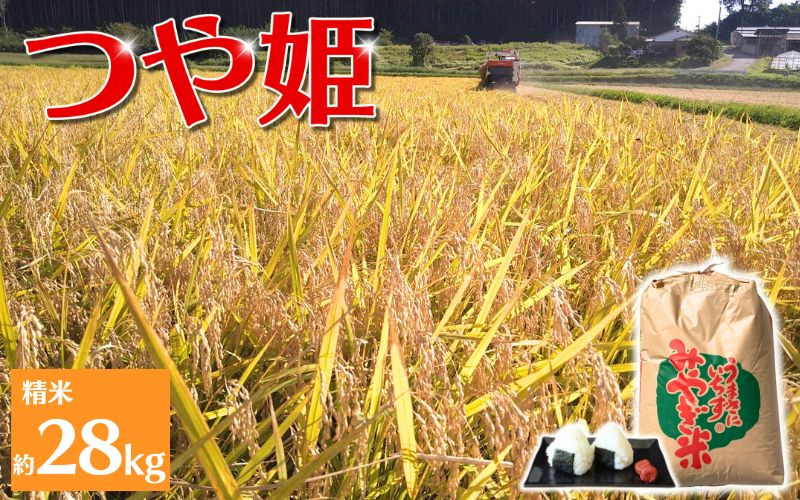 
                  【環境保全米】アグリとみたの 令和8年産 つや姫 精米 約28kg  11月以降順次発送/ 米 お米 こめ 白米 ご飯 ライス つやひめ 産地直送 数量限定
                