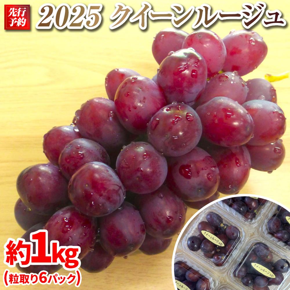 【ふるさと納税】【先行予約】2025　P　クイーンルージュ®　粒採り6パック 　約1キロ　長野県産【10月中旬頃～順次発送予定】国際特許有機肥料栽培 | フルーツ 果物 くだもの 食品 人気 おすすめ 送料無料