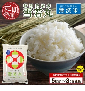 SF0328　1月下旬発送開始／【3回定期便】令和7年産 無洗米 特別栽培米 雪若丸　5kg×3回(計15㎏)「農家直送」 KA