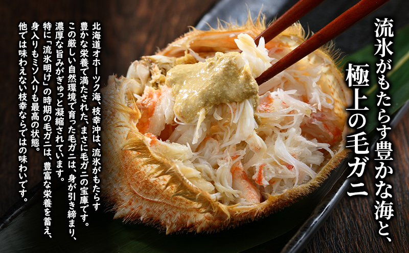 〈冷蔵発送〉流氷明け 枝幸沖 ボイル毛ガニ 660g前後×1尾 先行予約【2026年3月頃発送予定】旬の味覚［丸中三興水産］オホーツク枝幸 前浜【 蟹 魚介 北海道 枝幸 】