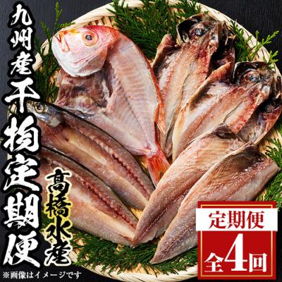 ふるさと納税 佐伯市 <定期便・全4回>ギフト用品質!九州産 ひもの 季節の 定期便 (総計35枚)