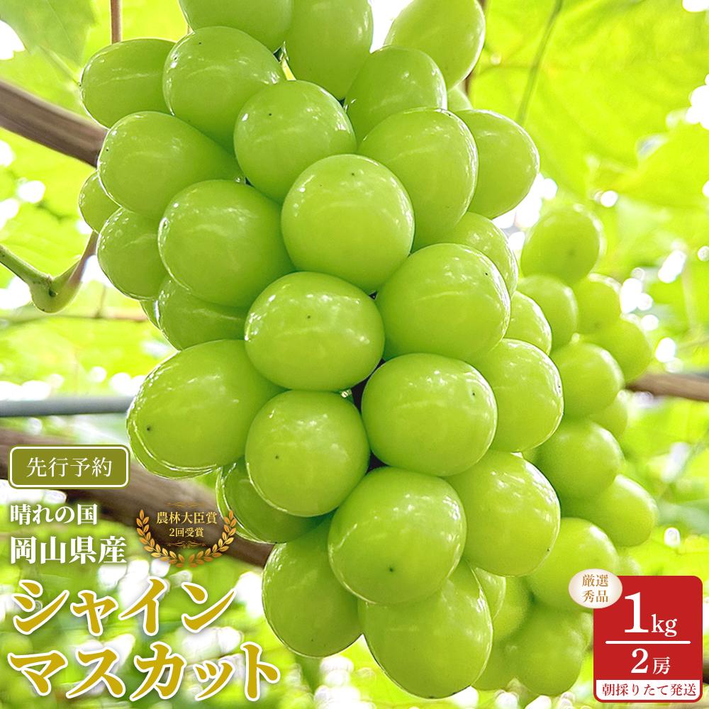 【ふるさと納税】ぶどう 2026年 シャインマスカット 厳選 秀品 約1kg 合計2房 農林大臣賞受賞 家庭用 ギフト 贈答用 贈り物 岡山 果物 フルーツ 採りたて発送 農家直送 数量限定 新鮮 | フルーツ 果物 くだもの 食品 人気