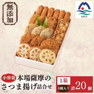 ふるさと納税 枕崎市 無添加 甘さ控えめ 本場薩摩のこだわりさつま揚げ詰合せ　小容量 Z0-65