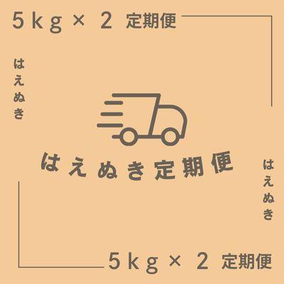 ふるさと納税 新庄市 【毎月定期便】魅惑のはえぬき(精米)10kg(5kg×2袋)　全3回