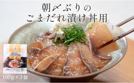 国産 朝〆ぶり ごまだれ漬け丼用 100g (50g×2)×3個｜養殖 ブリ 鰤 海鮮 小分け 冷凍 簡単調理 解凍5分 新鮮 丼の素 海鮮丼 夜食 家庭用 晩酌 高知県産 産地直送 おすすめ 人気 贈答 配達日指定可 高知県 大月町 うみのファーム