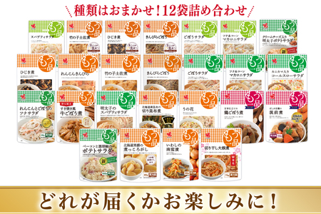 カネ吉の惣菜おまかせセット(12袋) 6回 定期便 詰合せ 総計72袋 訳あり おまかせ セット [株式会社ヤマザキ 静岡県 吉田町 22424677] 