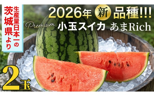 
                  ≪ 2027年 収穫分 ≫ 2026年誕生の新品種 小玉スイカ あまRich 2玉 先行予約 藤田益弘 国産 小玉 スイカ 小玉すいか こだますいか こだまスイカ 小玉すいか 西瓜 フルーツ 果物 くだもの 旬 ギフト 贈答 茨城県 桜川市 [CQ010sa]
                