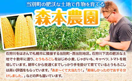 [1.3-78]　【令和6年発送先行受付】森本農園とうもろこし「雪の妖精」20本セット