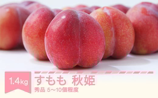 【先行予約】2025年産 すもも 秋姫 果物 秀品 約1.4㎏ (5~10個程度)  sb-plahx1400