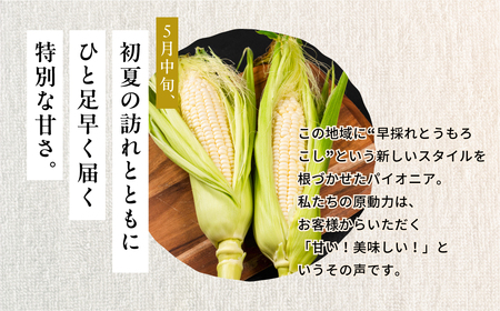 【先行予約】極甘 早採れ プレミアムフルーツコーン 10 ～ 12本 3L 4L 温室栽培 高糖度 生 ピュアホワイト まるで フルーツ プレミアム コーン とうもろこし トウモロコシ 甘い 春 夏 