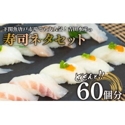 ふるさと納税 下関市 寿司ネタセット BV009