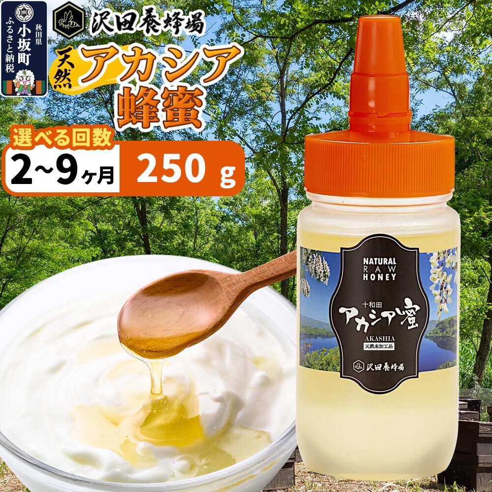 【ふるさと納税】はちみつ 天然十和田 アカシア蜂蜜 250g【選べるお届け回数：2回〜9回】 [はちみつ 蜂蜜 ハチミツ アカシア 定期便 国産 朝食 沢田養蜂場]