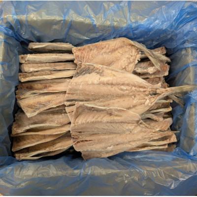 ふるさと納税 大網白里市 【1日10件限定】出来立て!工場直送! 自家製アジの干物 合計約4.5kg 訳あり