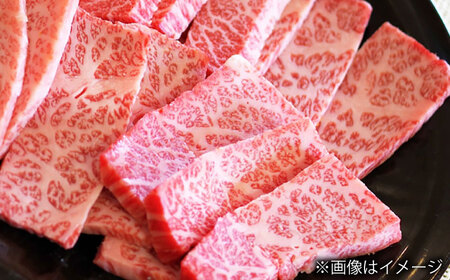 【全3回定期便】長崎和牛カルビ 総計1.5kg （約500g/回）【ながさき西海農業協同組合】 [DBV013][DBV013]