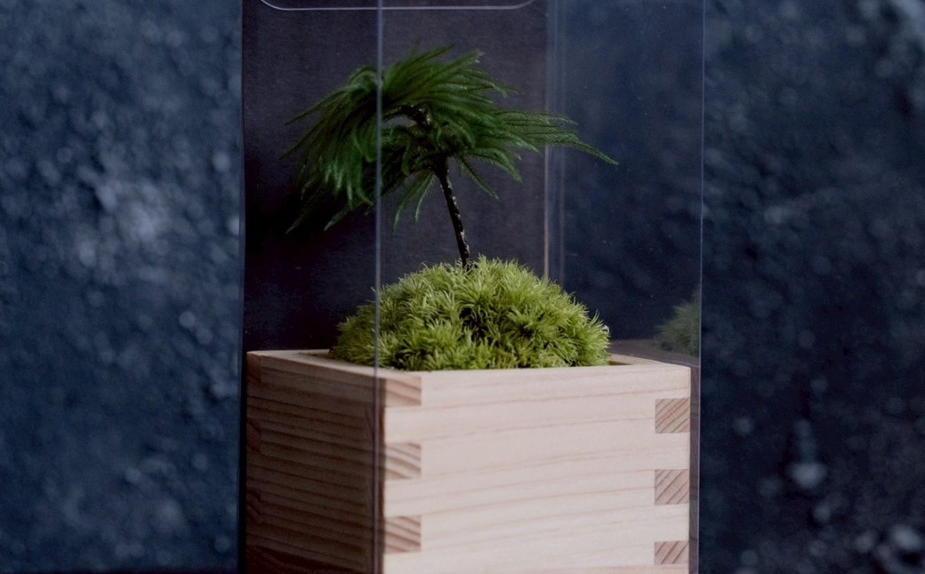 枯れない苔のミニ盆栽 | 苔盆栽 枯れない 苔 インテリア ミニ盆栽 人工 プリザーブド 苔玉 おしゃれ 和風 ギフト プレゼント 癒し 室内緑化 長持ち 手入れ不要 新築祝い 開店祝い デスク イン