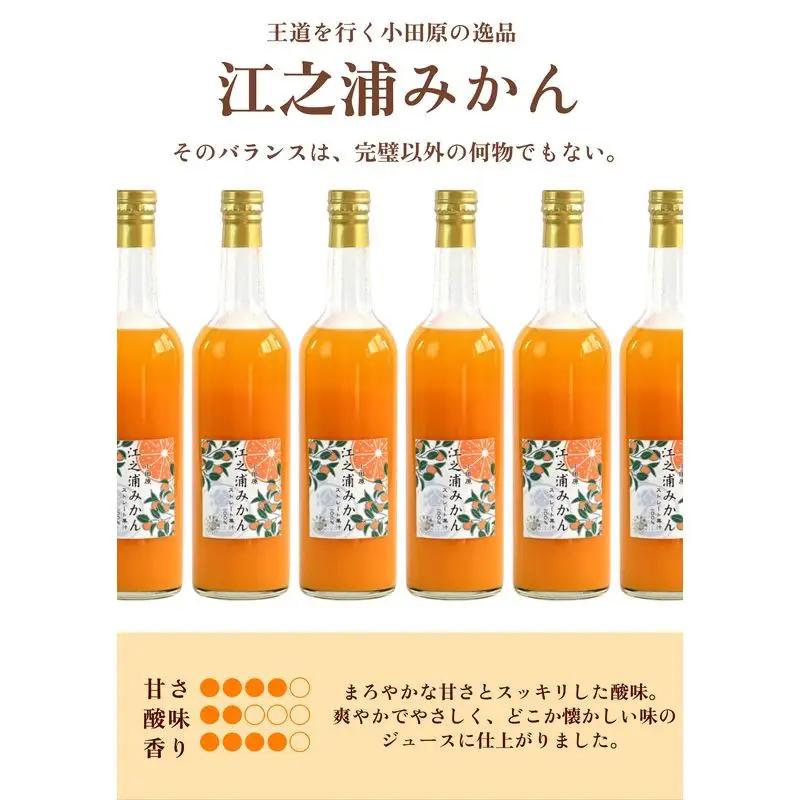 小田原産江之浦みかん１００％ストレートジュース５００ml１２本 【みかんジュース みかんジュース 神奈川県 小田原市 】