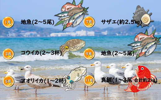 【年6回奇数月】福津の旬の魚介類こだわり定期便【随時開始】[G7019]