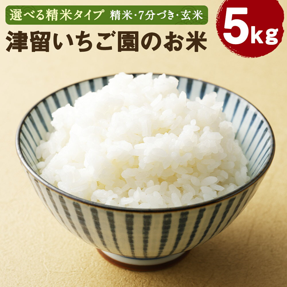 【ふるさと納税】津留いちご園のお米 5kg 白米/7分づき/玄米 選べる精米タイプ 精米 お米 ヒノヒカリ 栽培期間中無農薬 令和6年産 九州産 福岡県産 送料無料
