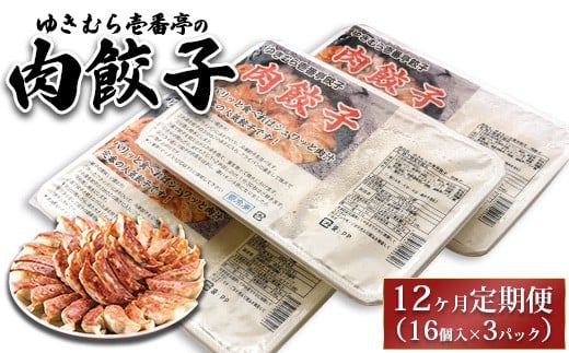 
            【12ヶ月定期便】ゆきむら壱番亭の肉餃子3パック(48個入り) ※離島への配送不可
          