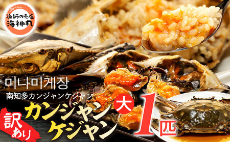 訳あり 南知多カンジャンケジャン カンジャンケジャン 大蟹1匹 ワタリガニの醤油漬け 魚介 魚介類 ワタリガニ カンジャンケジャン 蟹 新鮮 グルメ カニ
