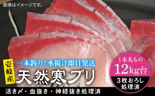 【12キロ台】 壱岐島産 天然寒ブリ（3枚おろし） 《壱岐市》【壱岐島　玄海屋】[JBS111]  ぶり 寒ぶり ブリ 魚 刺身 しゃぶしゃぶ ぶりしゃぶ 天然