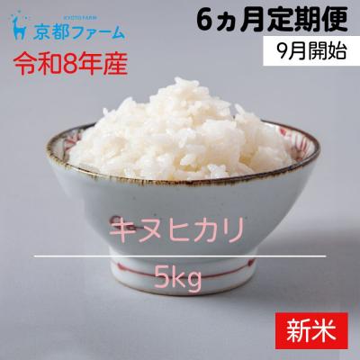 ふるさと納税 京都市 【新米先行受付】〈6か月定期便・9月開始〉令和8年産 京都ファームのキヌヒカリ 毎月5kg×6回
