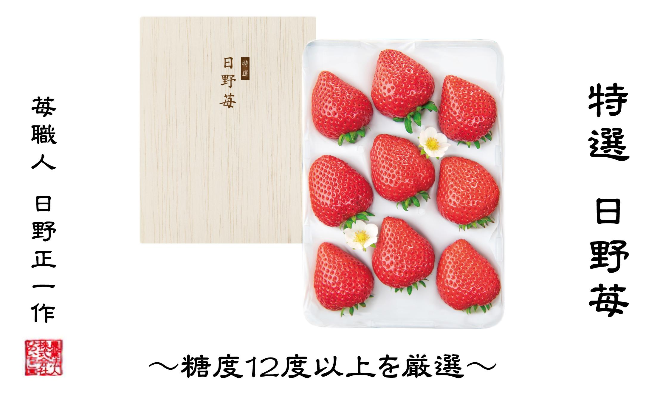 
            【先行予約】 特選　日野苺（約450g）～糖度12度以上を厳選～ 化粧箱　2025年11月下旬~2026年2月発送　いちご 苺 完熟 農家直送 産地直送
          