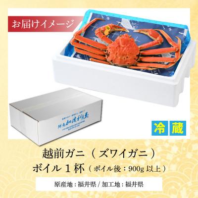 ふるさと納税 小浜市 【先行予約】加福鮮魚「若狭小浜港産地直送」　越前ガニ(ズワイガニ)ボイル1杯 |  | 03