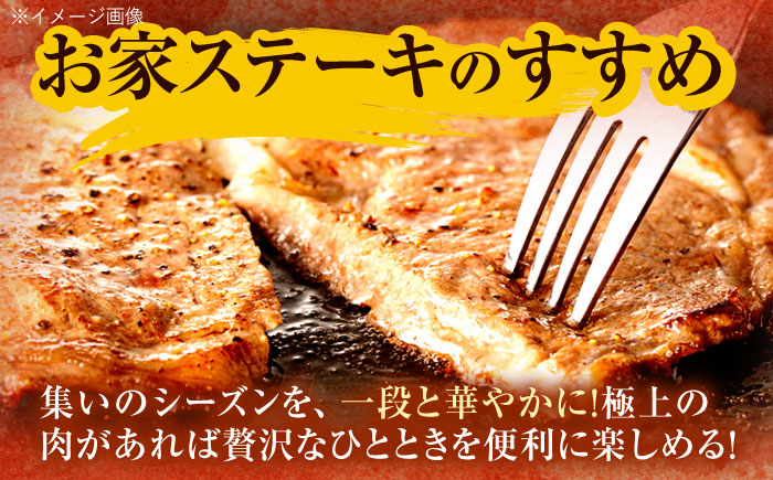長崎和牛 サーロインステーキ 600g（200g×3枚） / 西日本フード株式会社 [AHAV009]