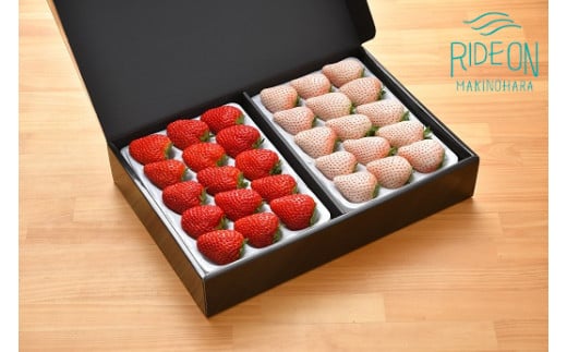 いちご 紅ほっぺ 白いちご 計 800g 計 2 パック 高級 紅白 イチゴ 苺 セット Sweet milk berry 各 1 パック 各 400g フルーツ 果物 ストロベリー 産地直送 国産 スイーツ デザート くだもの 畠農宝 静岡県 牧之原市