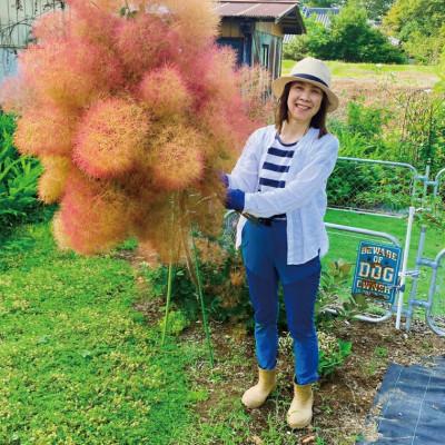 ふるさと納税 水戸市 【11月下旬より順次発送・数量限定】常緑樹の香りあふれるクリスマスリース |  | 03