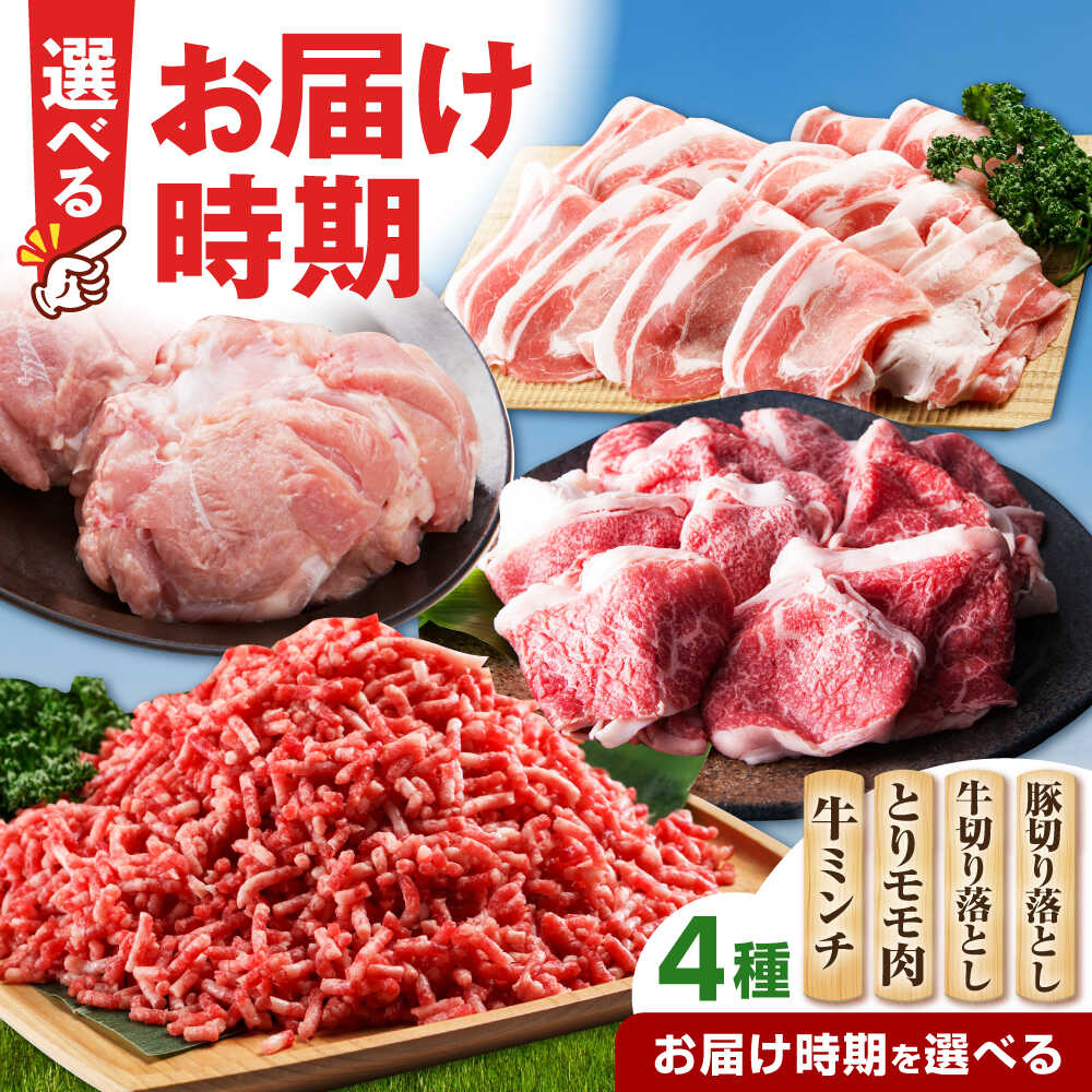 【ふるさと納税】ミンチ付き！三栄のデイリーセット 【肉の三栄】 [HAA091] 牛肉 鶏肉 豚肉 佐賀牛 ありたどり 佐賀県産豚 切り落とし 挽き肉 モモ肉 モモ セット 贈答 ギフト 仕送り 新生活