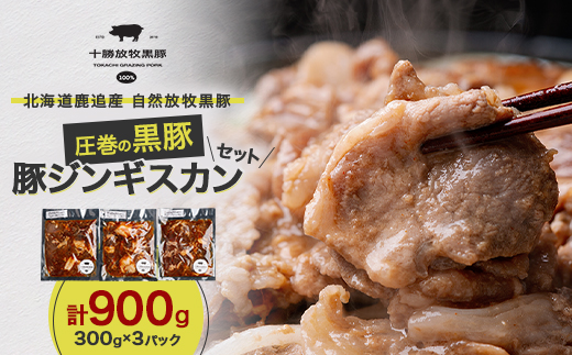 鹿追産 自然放牧 圧巻の黒豚 豚ジンギスカンのセット 900g (300g×3パック) SKN002【配送不可地域：離島】