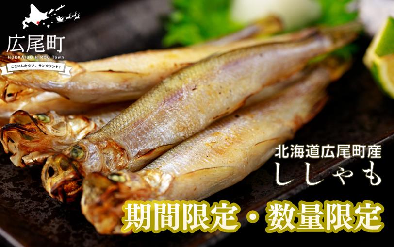 
            【期間限定価格・数量限定】岡嶋水産　生乾ししゃも大メスL３０尾(C0034)
          