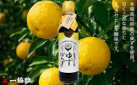 四国の絶品 老舗の手づくり 柑橘ぽん酢 食べ比べ 2種 200ml×2本 Aセット（だいだい・ゆず） 【一梅酢】