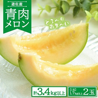 
                  青肉メロン 2玉 計3.4kg以上 1玉あたり1.7kg以上 山形県遊佐産 7月中旬～8月上旬頃お届け ※着日指定不可 果物 フルーツ 夏 東北 山形県 遊佐町 庄内
                