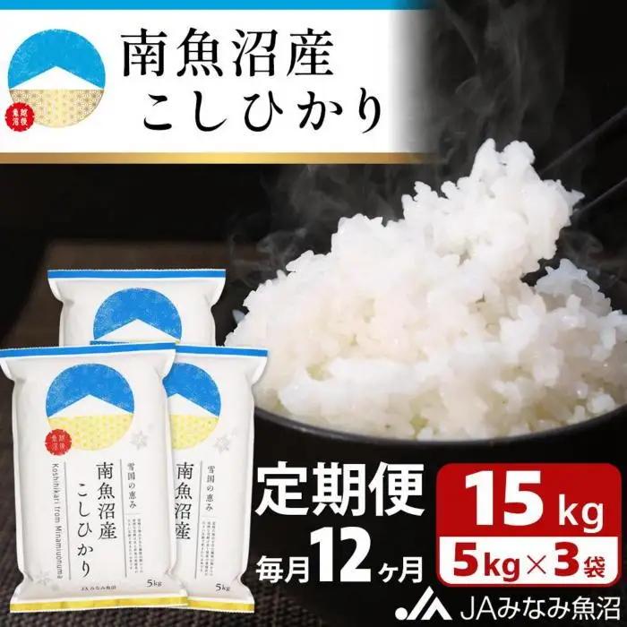 【JAみなみ魚沼定期便】南魚沼産こしひかり（15kg×全12回）精米 精米HACCP認定工場 特A獲得 ｜こしひかり