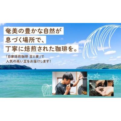 ふるさと納税 奄美市 【自家焙煎】豆と麦 ブレンドNo.2(豆) 計600g(200g×3袋) |  | 01